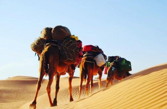 Camp Sahara Holidays M'Hamid Εξωτερικό φωτογραφία