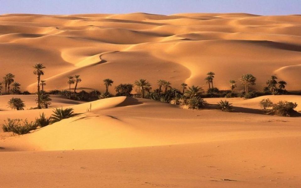 Camp Sahara Holidays M'Hamid Εξωτερικό φωτογραφία