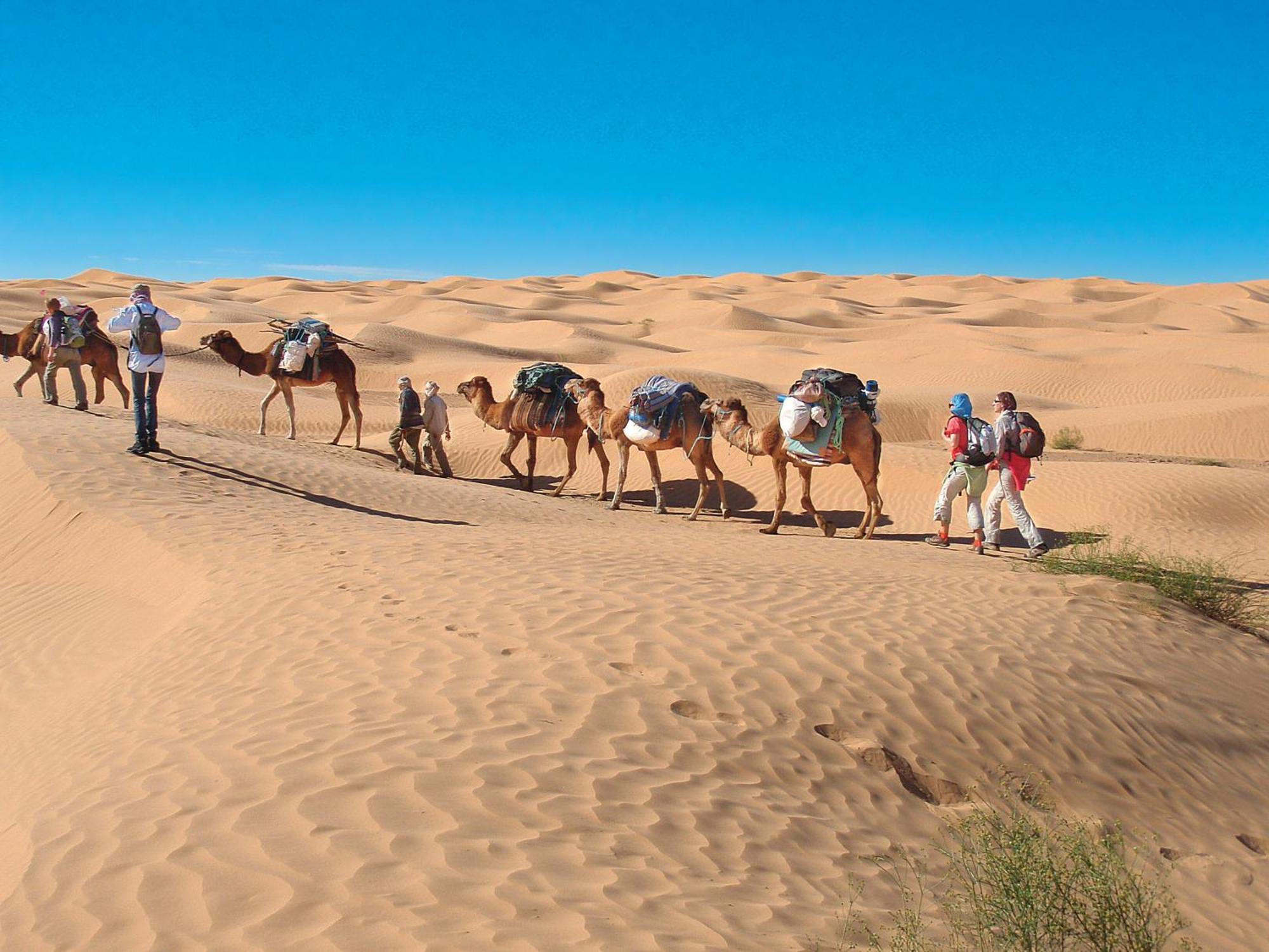 Camp Sahara Holidays M'Hamid Εξωτερικό φωτογραφία