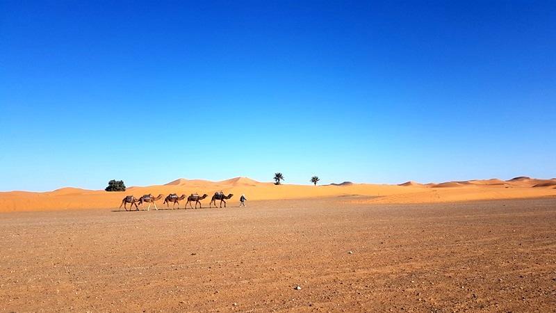 Camp Sahara Holidays M'Hamid Εξωτερικό φωτογραφία