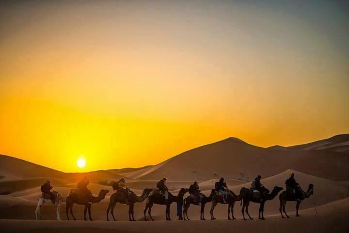 Camp Sahara Holidays M'Hamid Εξωτερικό φωτογραφία
