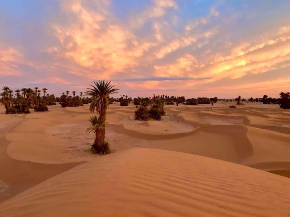 Camp Sahara Holidays M'Hamid Εξωτερικό φωτογραφία